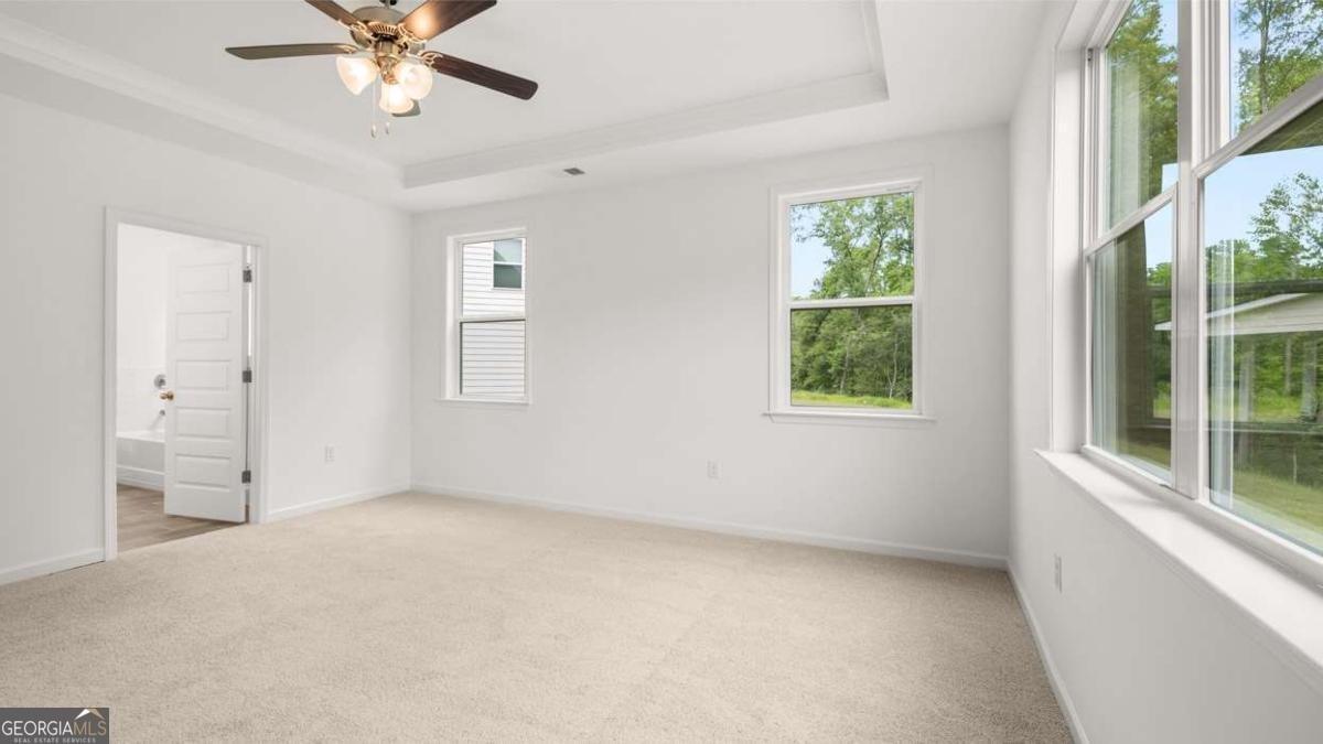 260 Staffin Drive Senoia - 24