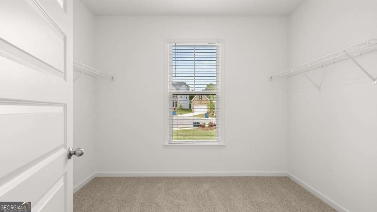 260 Staffin Drive Senoia - 29
