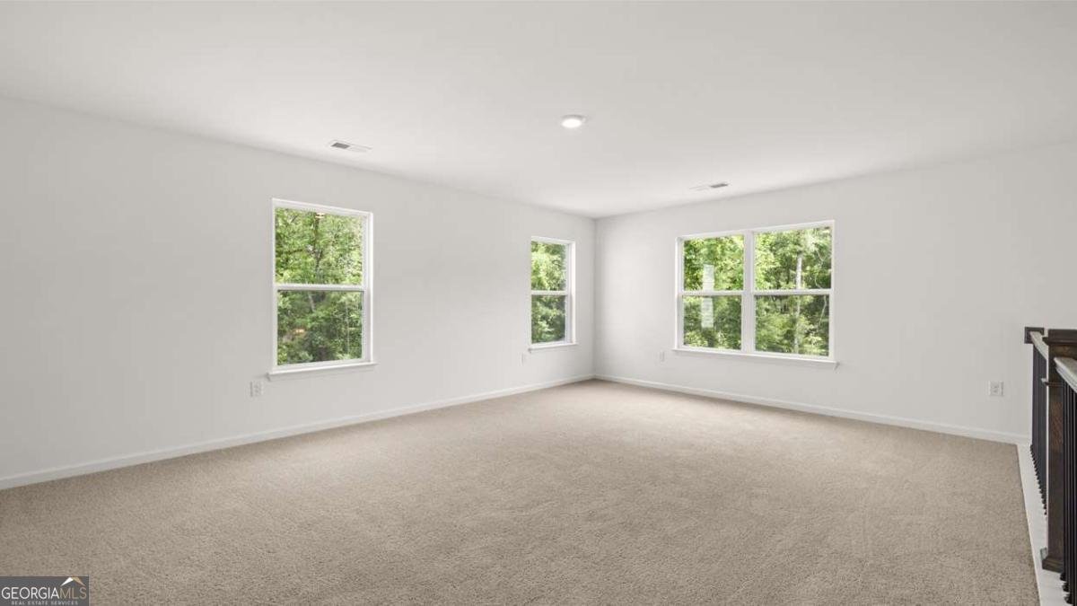260 Staffin Drive Senoia - 31