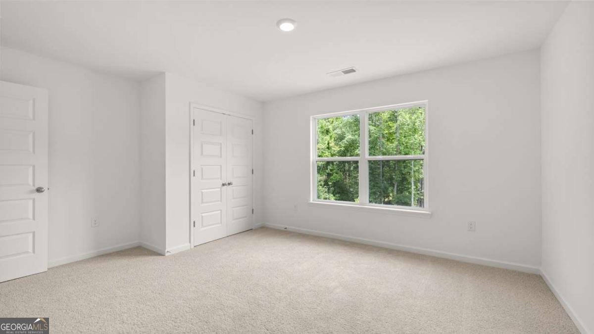 260 Staffin Drive Senoia - 37