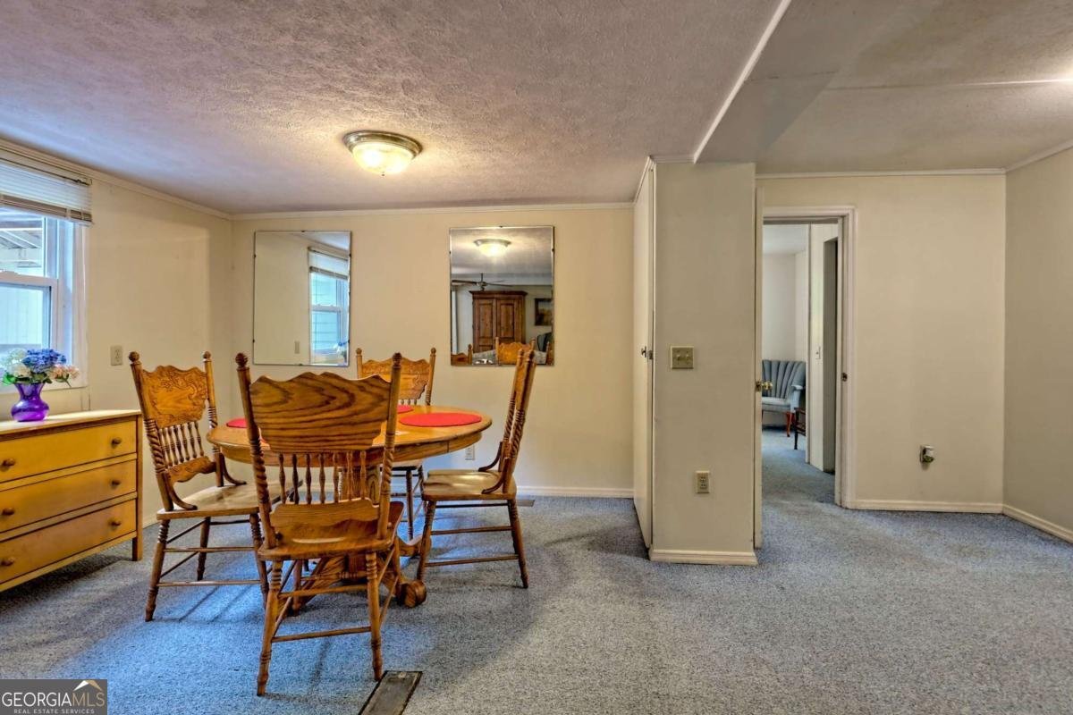 4618 Jones Gap Road Hiawassee - 11