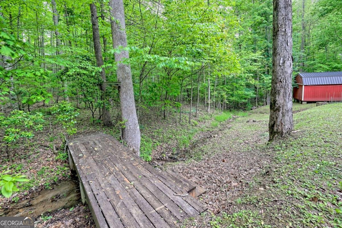 4618 Jones Gap Road Hiawassee - 55