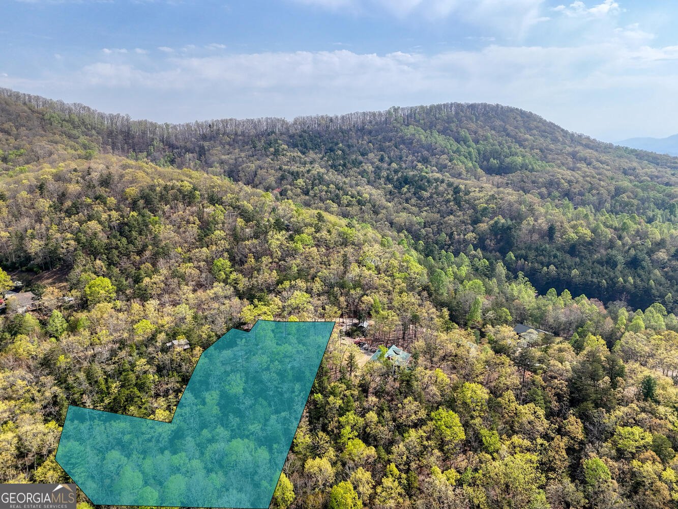 699 Dockery Creek Road Young Harris - 31