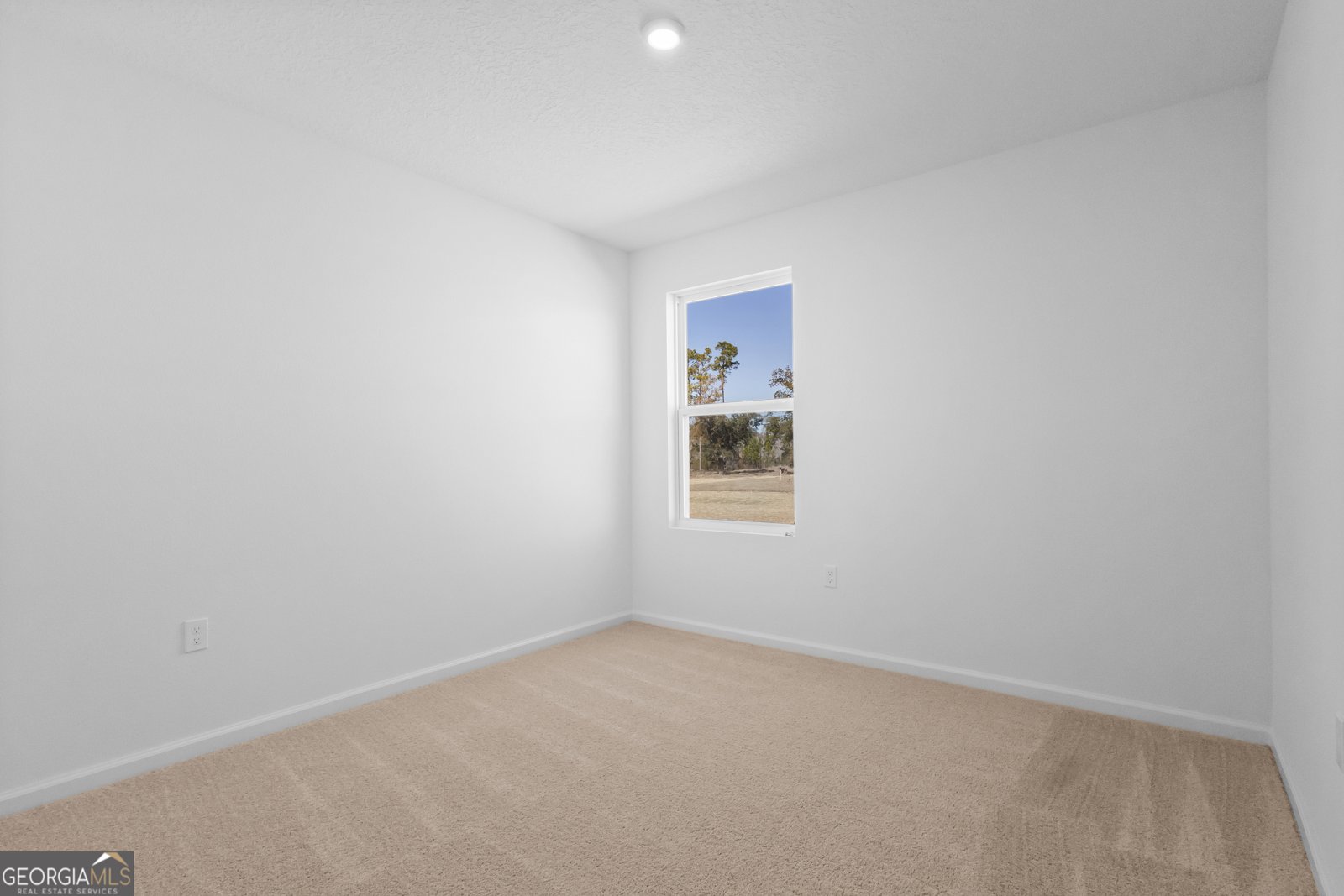 104 Taylor Cove WoodBine - 19