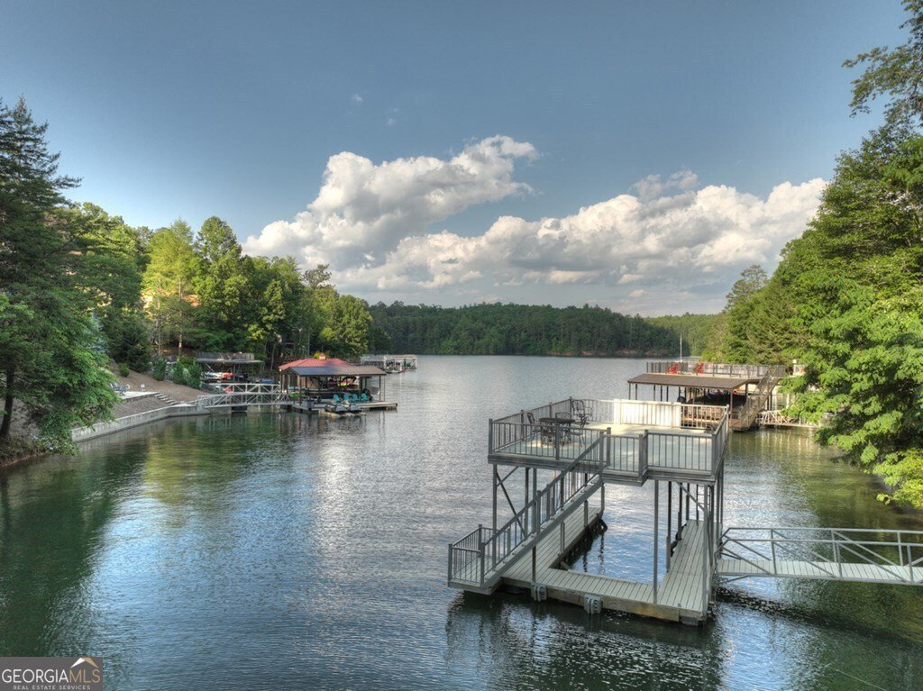 1820 Shady Falls Road Blue Ridge - 11