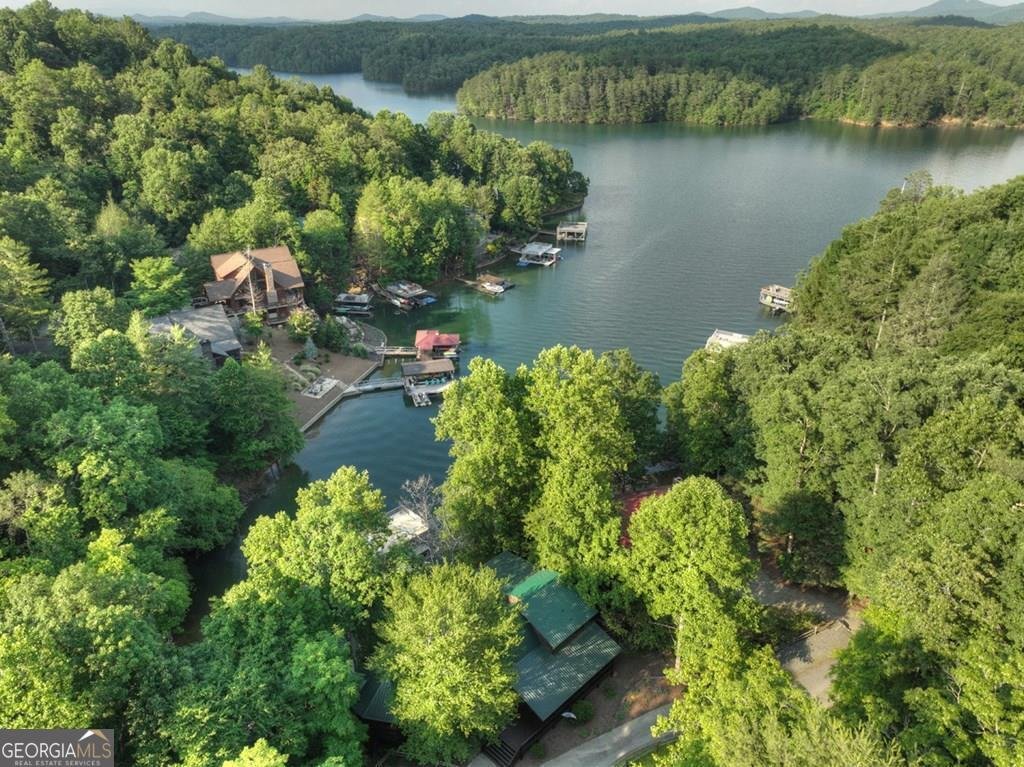 1820 Shady Falls Road Blue Ridge - 2