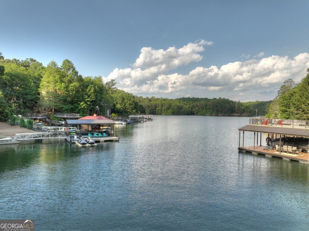 1820 Shady Falls Road Blue Ridge - 3