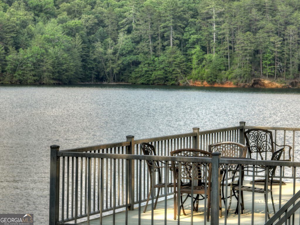 1820 Shady Falls Road Blue Ridge - 45