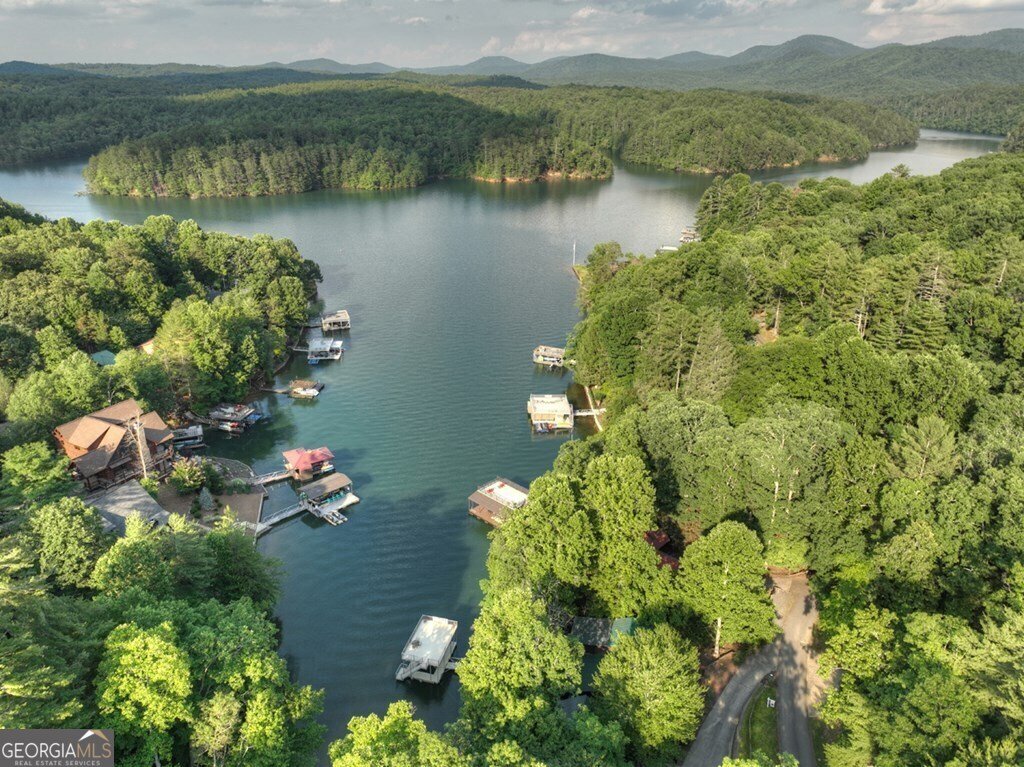 1820 Shady Falls Road Blue Ridge - 53