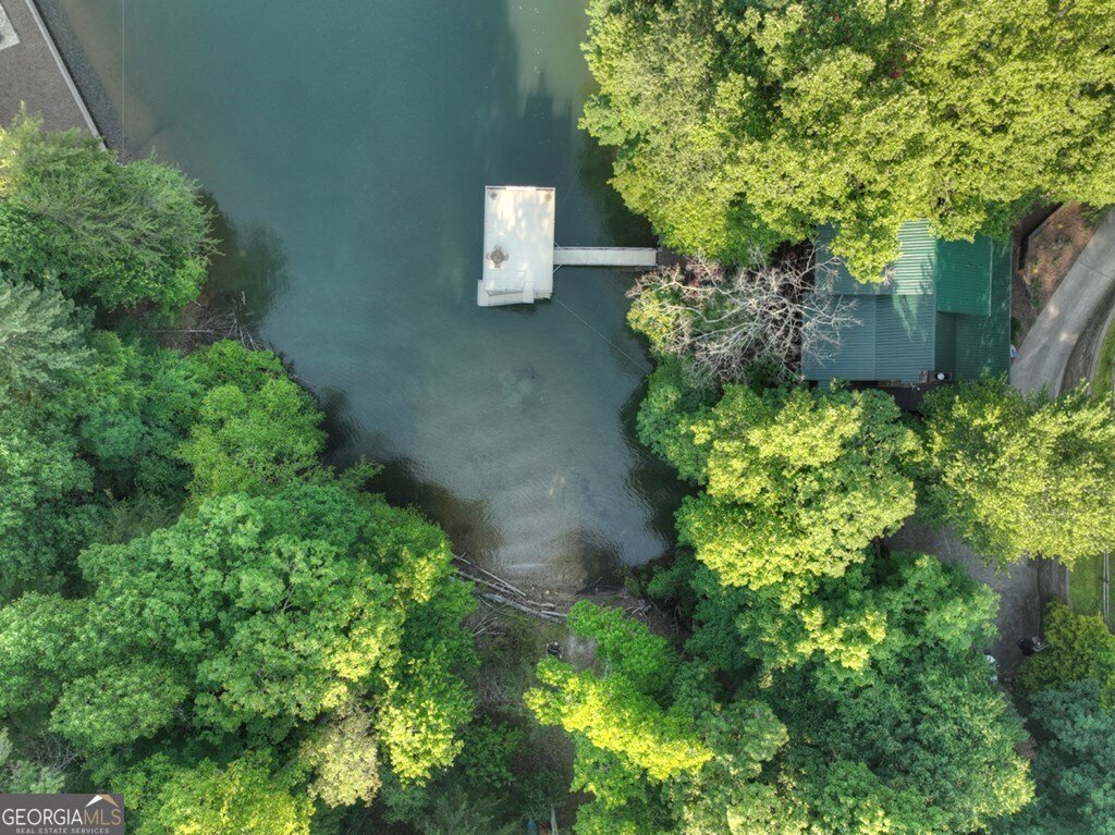 1820 Shady Falls Road Blue Ridge - 61