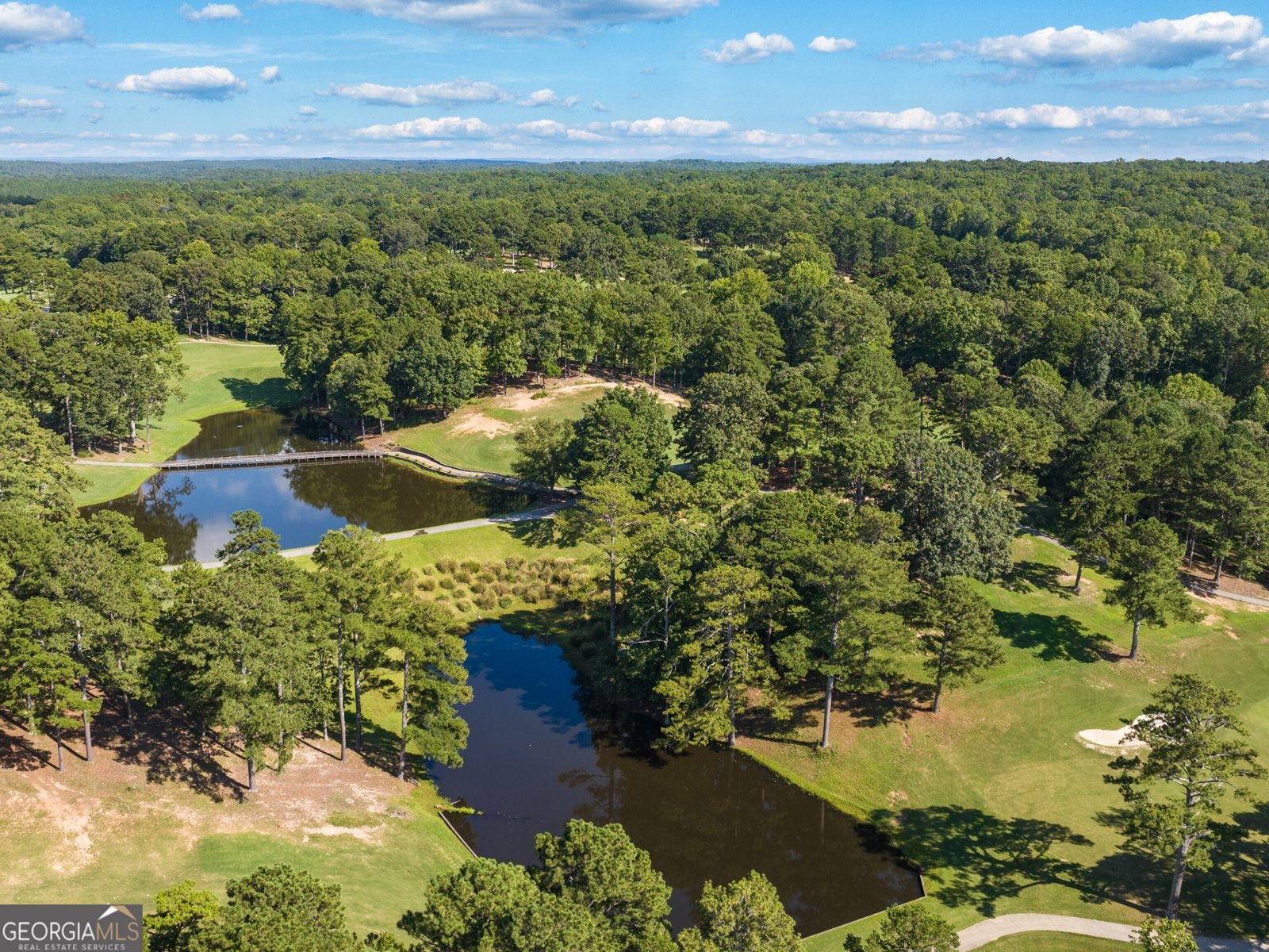 120 Landsdowne Way Cartersville - 33