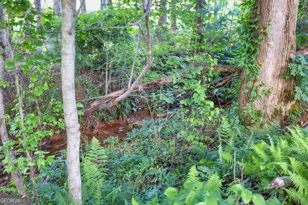 2980 Beards Road Buford - 41