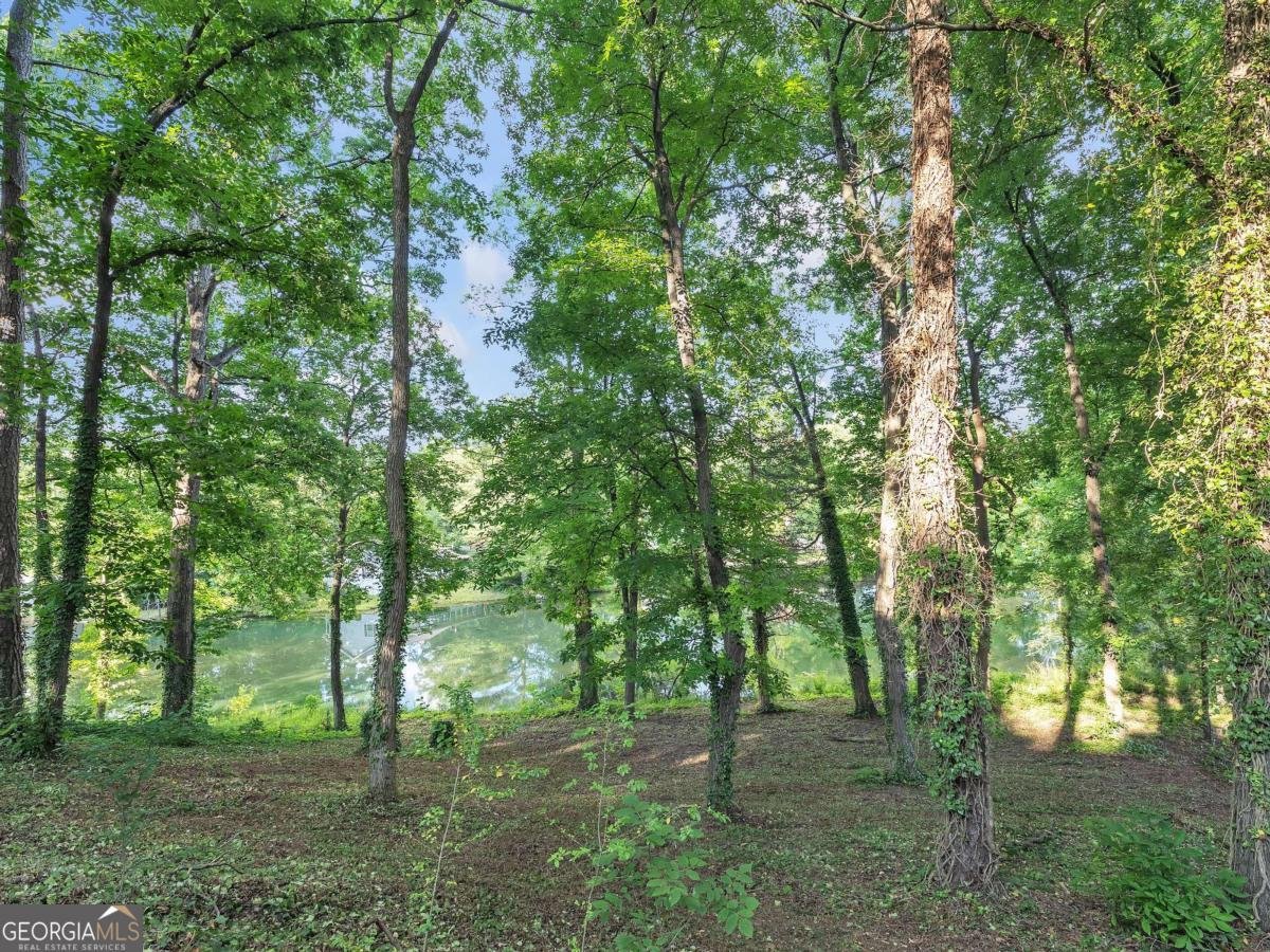 225 Melea Lane Calhoun - 7