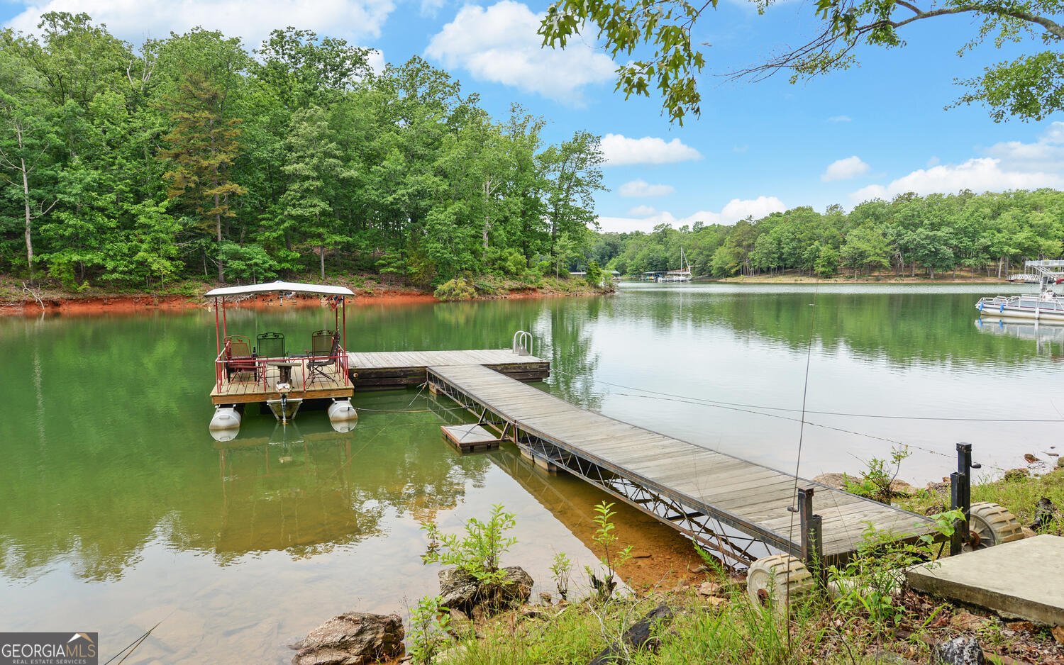 171 Friendship Drive Hartwell - 43