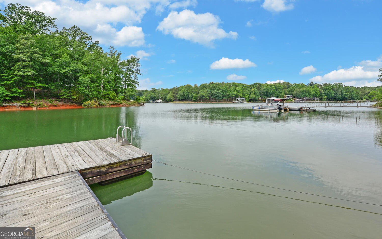 171 Friendship Drive Hartwell - 44