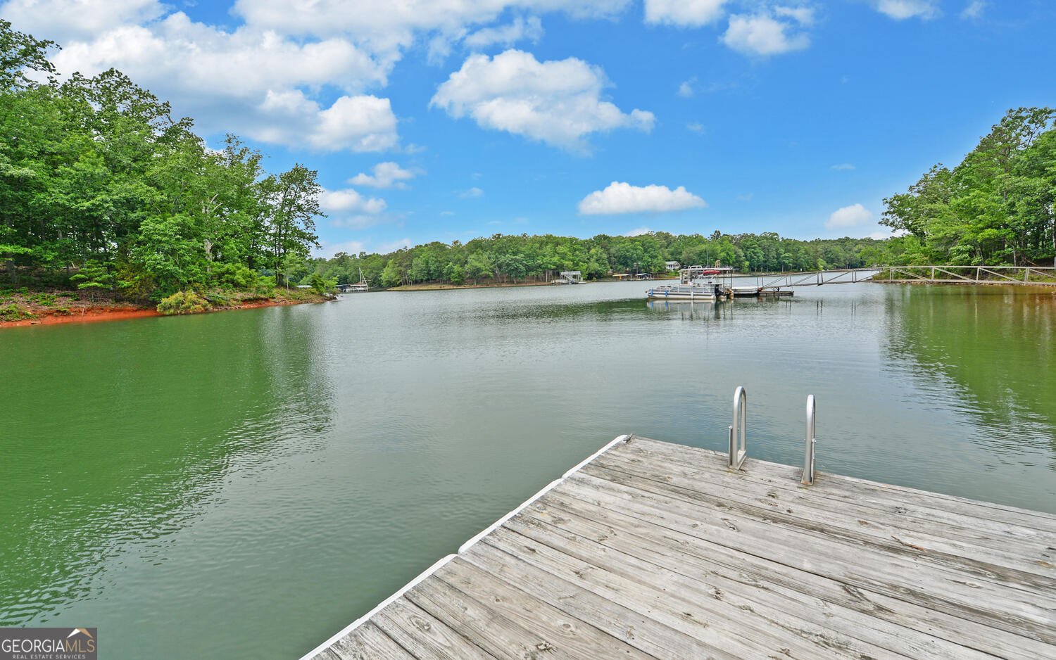 171 Friendship Drive Hartwell - 46