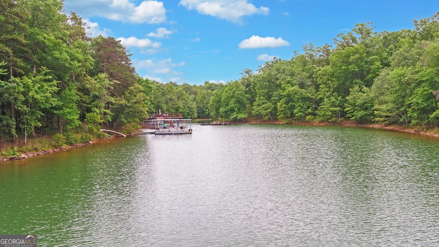 171 Friendship Drive Hartwell - 53