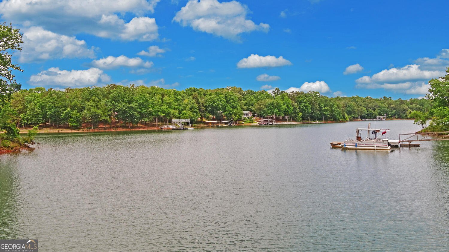 171 Friendship Drive Hartwell - 55