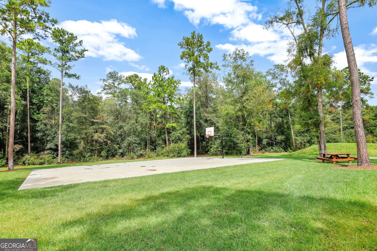 315 Linkside Lake Drive Richmond Hill - 45