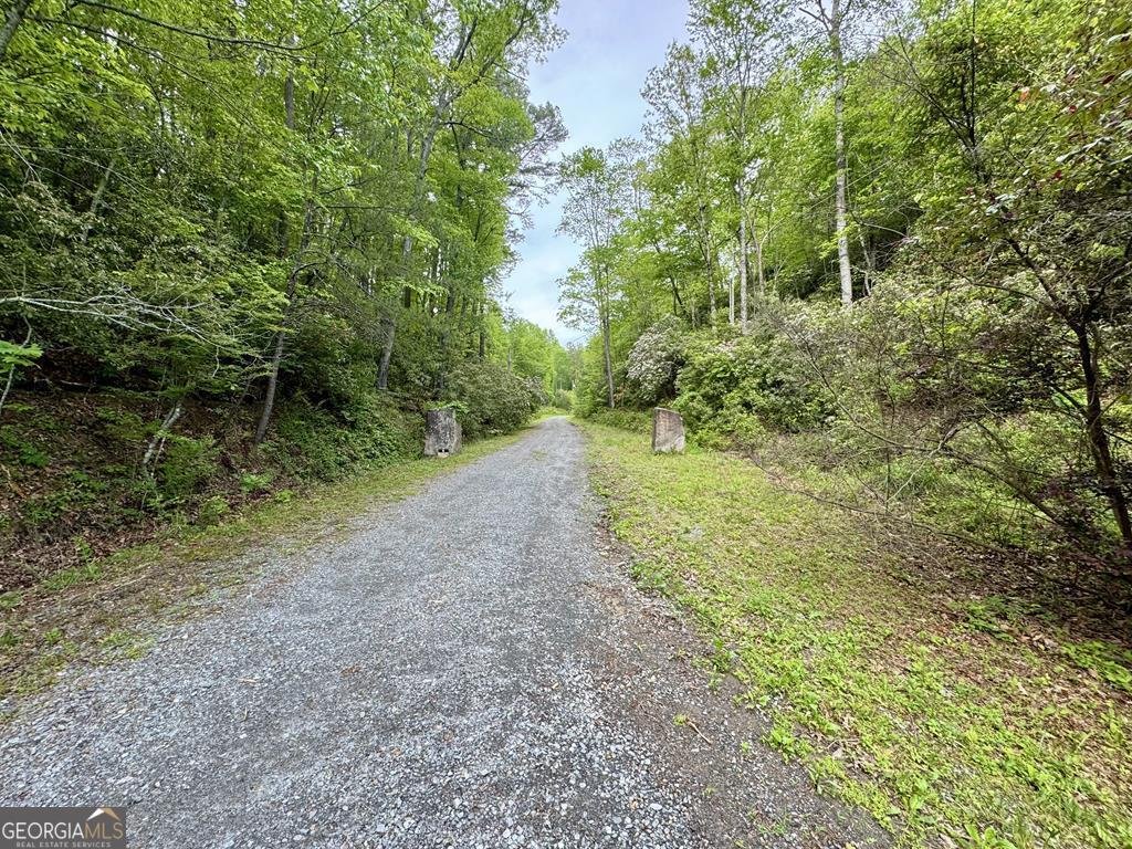 208 Bullen Gap Road Blue Ridge - 1