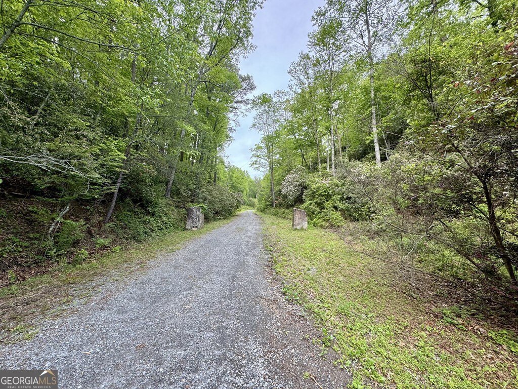 208 Bullen Gap Road Blue Ridge - 10