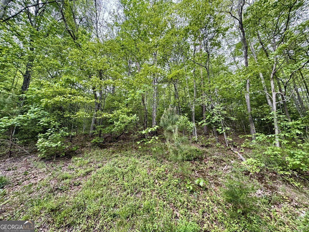 208 Bullen Gap Road Blue Ridge - 15