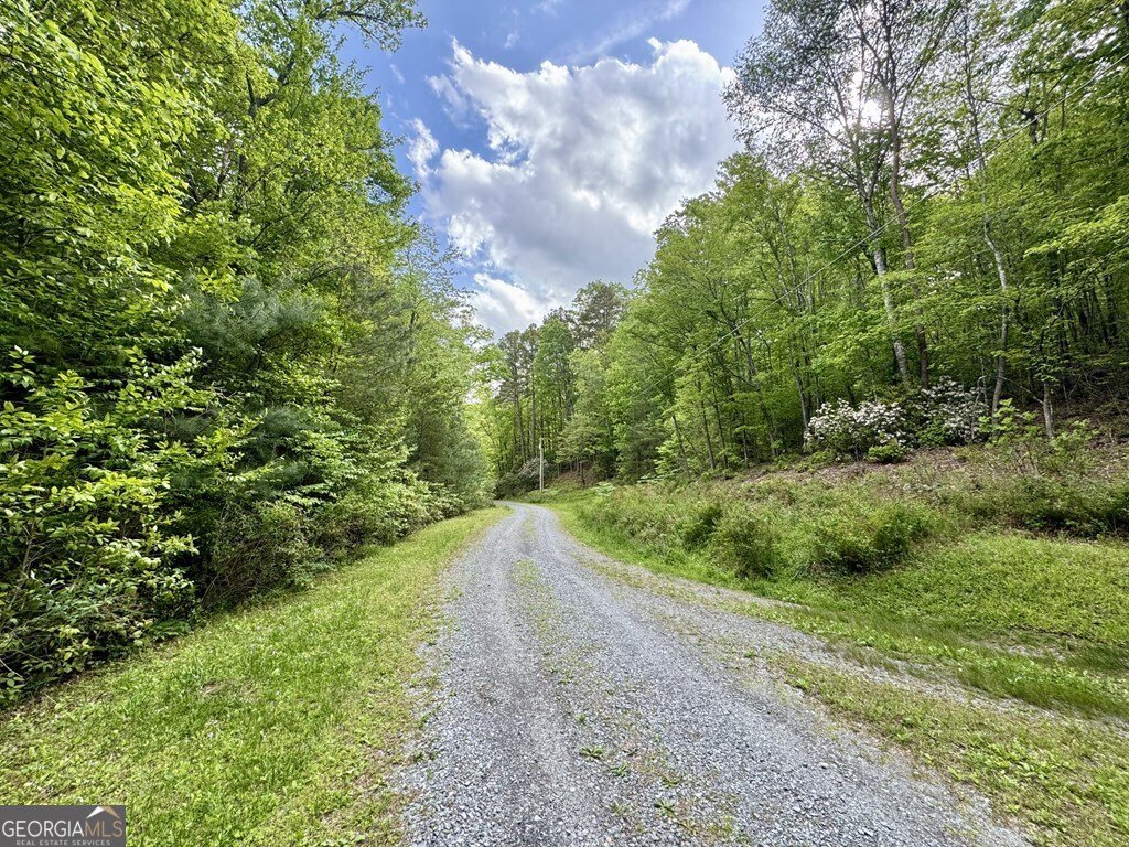 208 Bullen Gap Road Blue Ridge - 2
