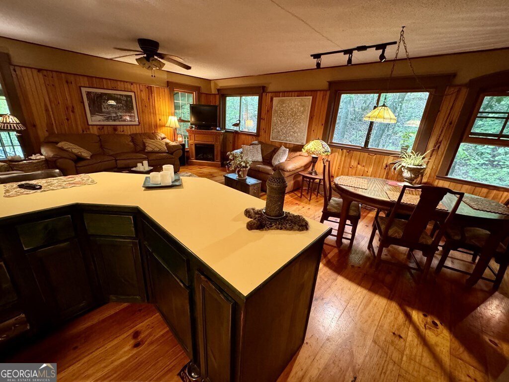 208 Bullen Gap Road Blue Ridge - 27