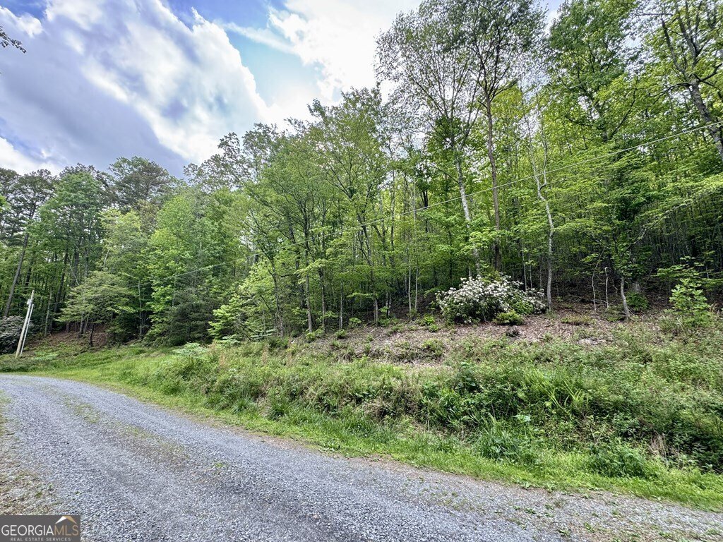 208 Bullen Gap Road Blue Ridge - 3