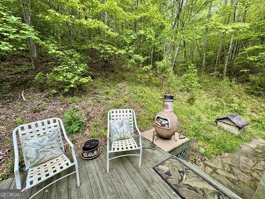 208 Bullen Gap Road Blue Ridge - 37