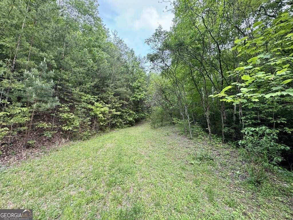 208 Bullen Gap Road Blue Ridge - 5