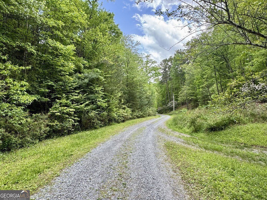 208 Bullen Gap Road Blue Ridge - 9