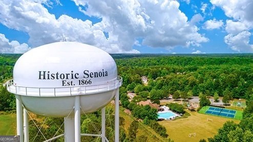 245 Staffin drive Senoia - 4