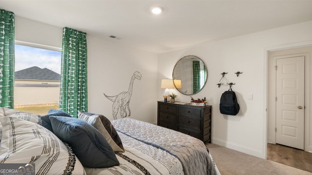245 Staffin drive Senoia - 65