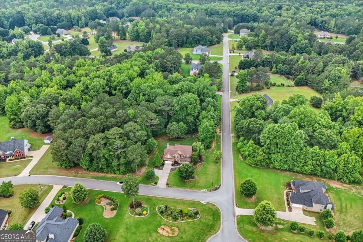 52 Olivia Court Palmetto - 92