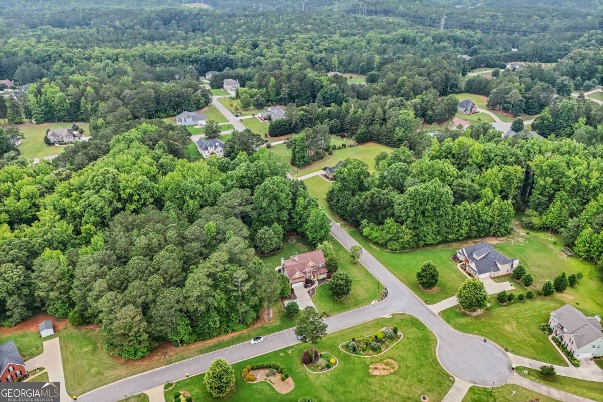 52 Olivia Court Palmetto - 94