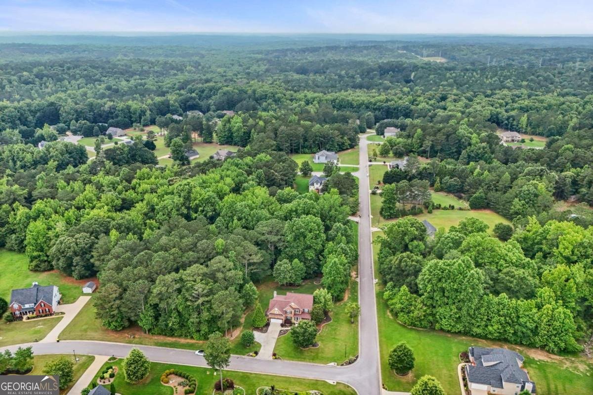 52 Olivia Court Palmetto - 95
