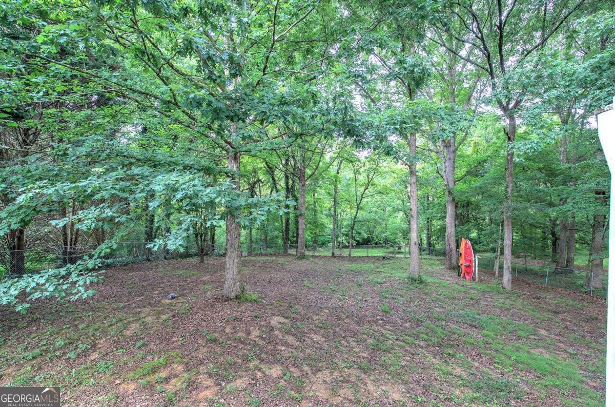 62 Lazy Water Drive Cartersville - 36