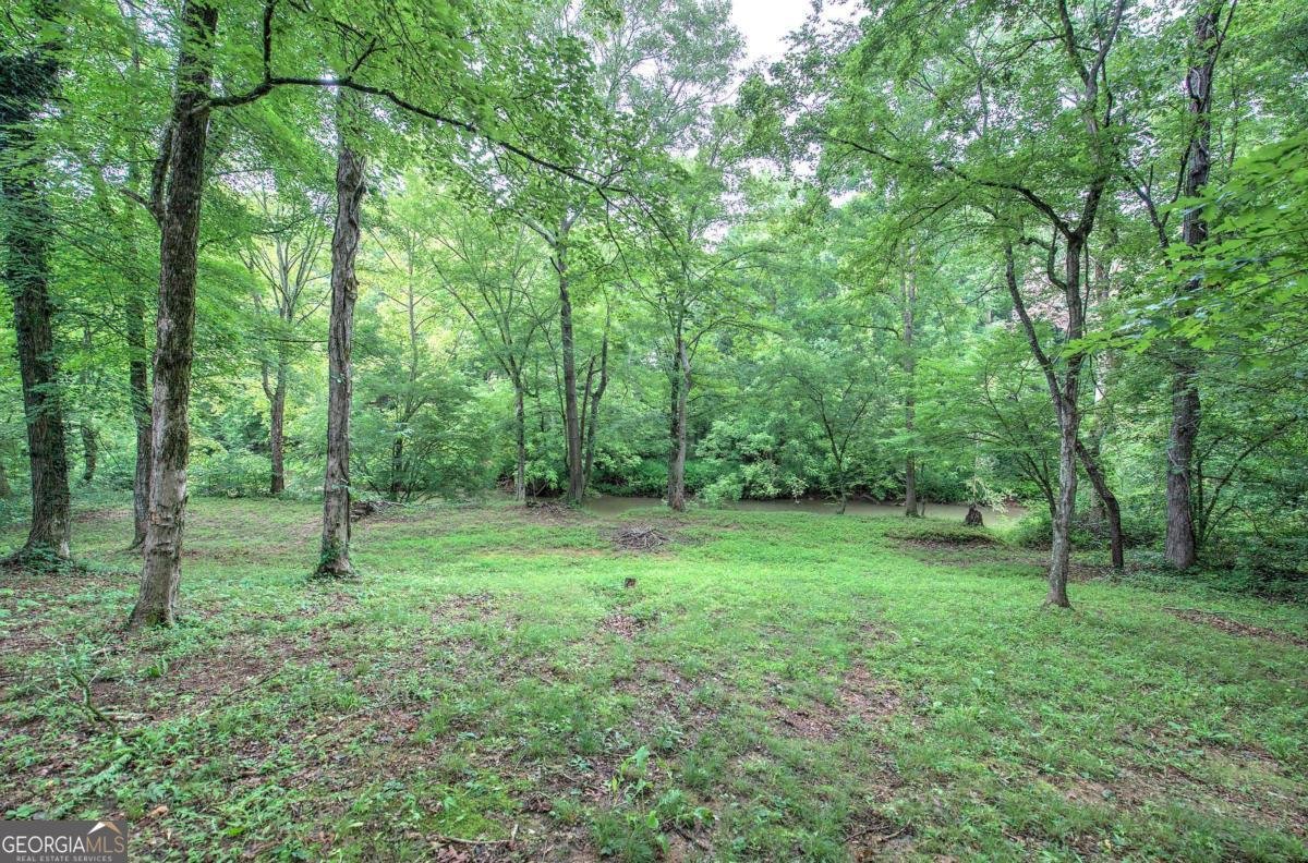 62 Lazy Water Drive Cartersville - 39