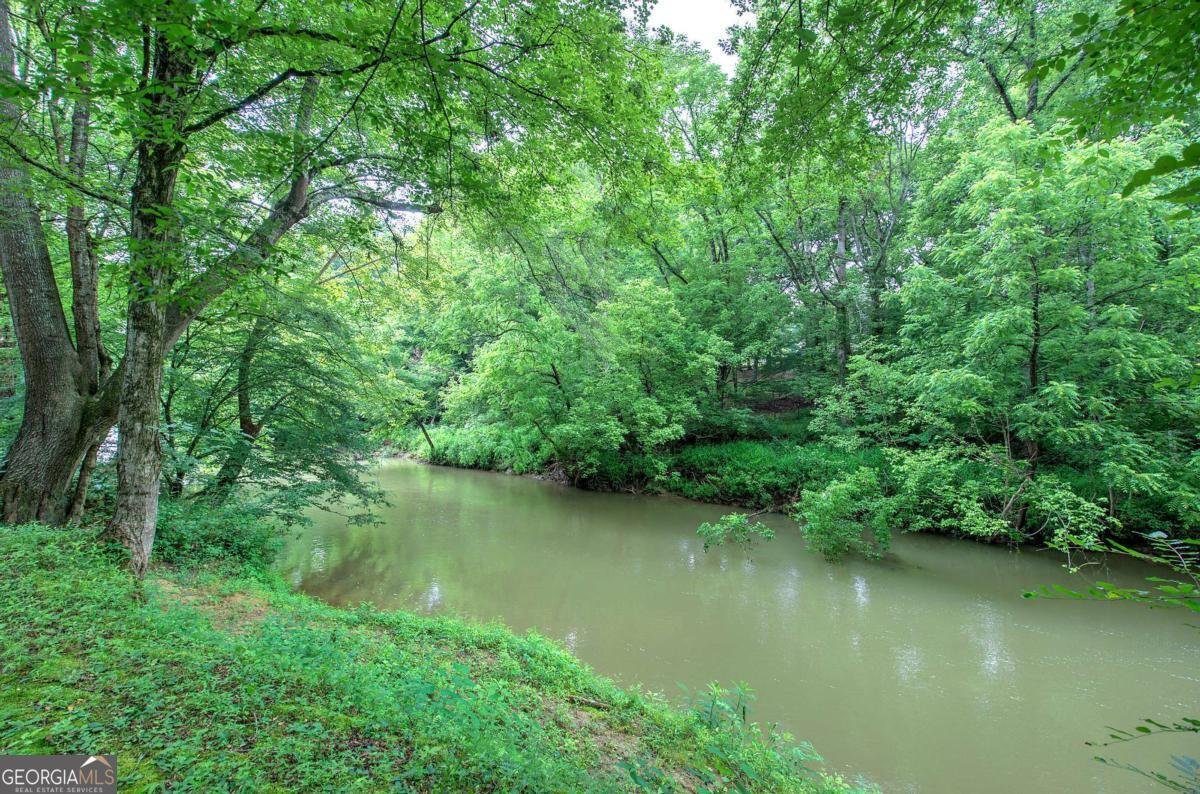 62 Lazy Water Drive Cartersville - 40