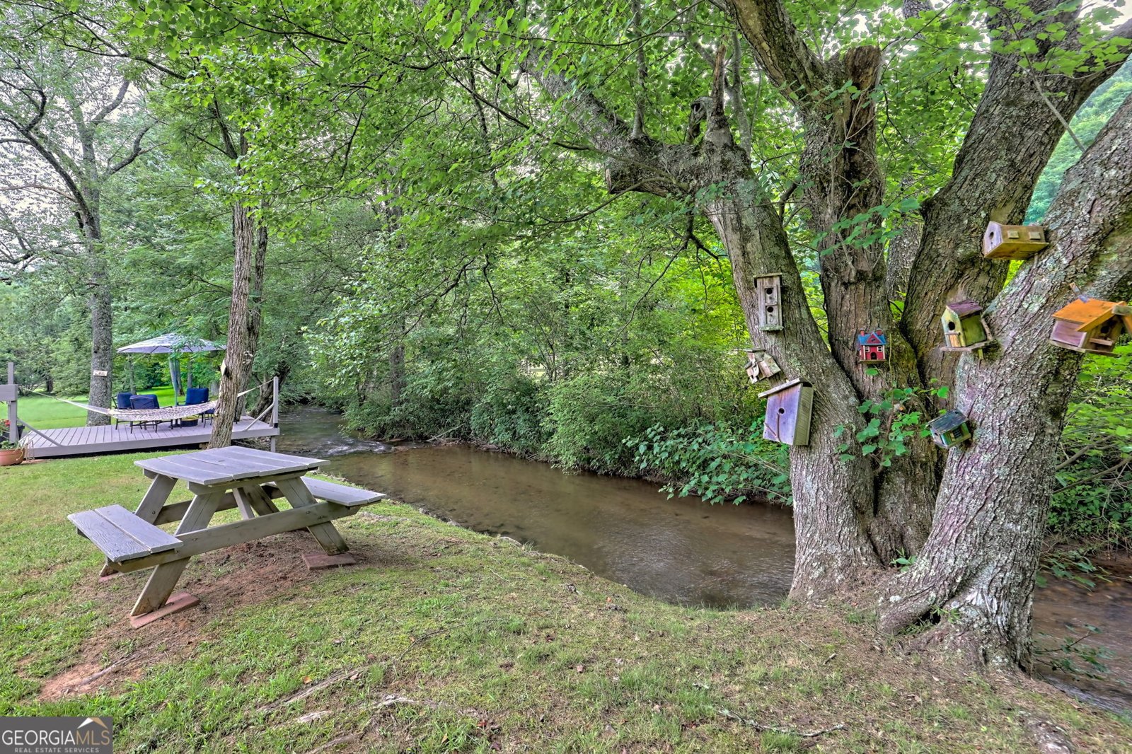 4505 McCullum Trail Hiawassee - 75