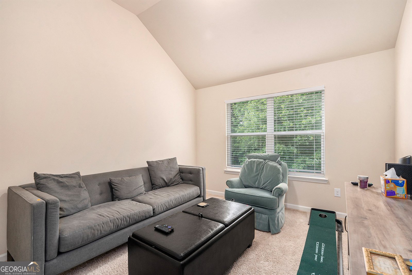 316 Sierra Court McDonough - 16