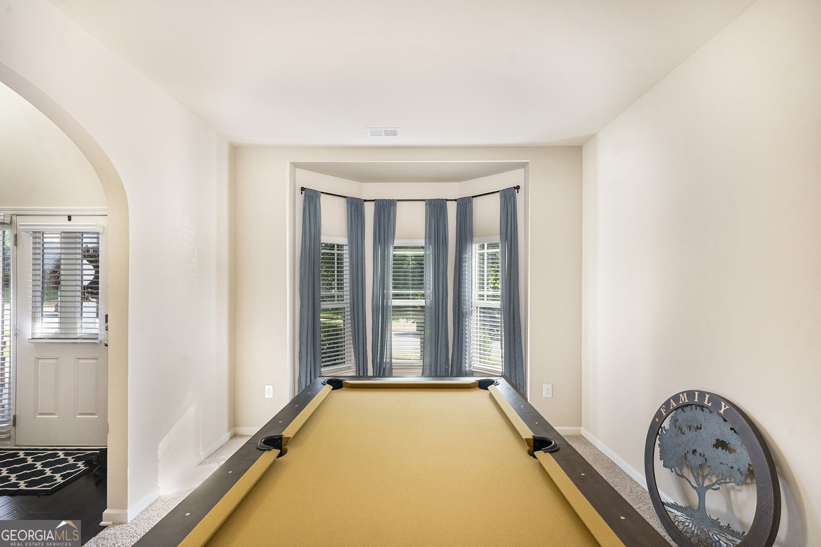 316 Sierra Court McDonough - 9