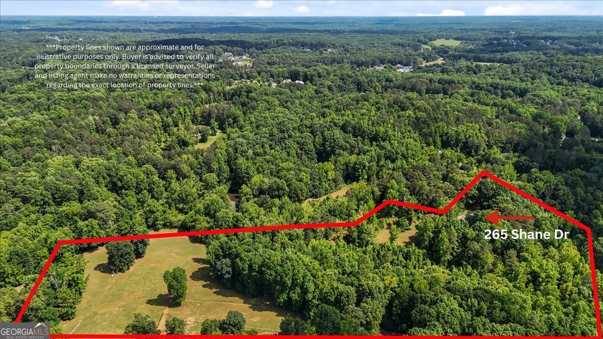 265 Shane Drive Canton - 5