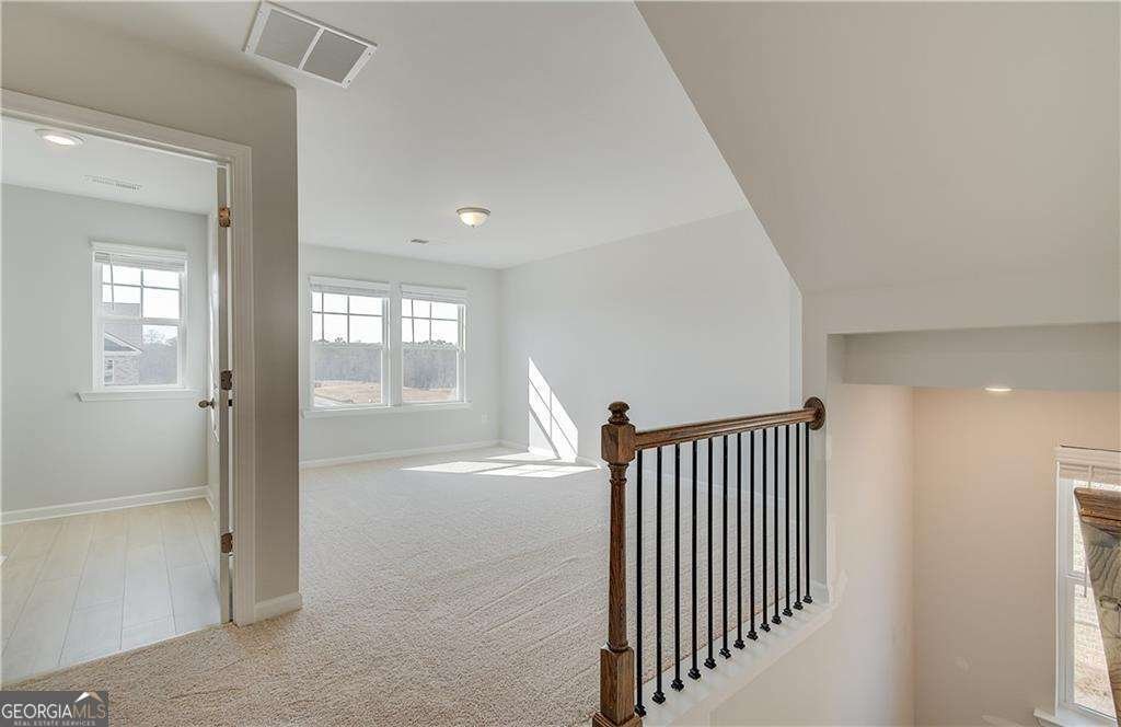 619 Leafy Branch Way Mcdonough - 18