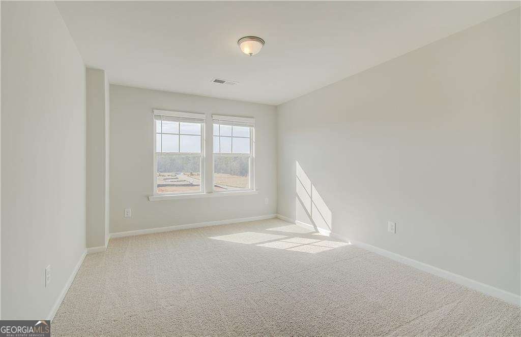 619 Leafy Branch Way Mcdonough - 19