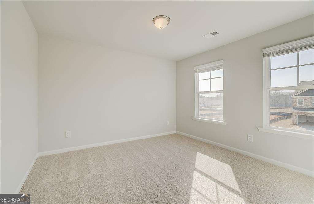 619 Leafy Branch Way Mcdonough - 20