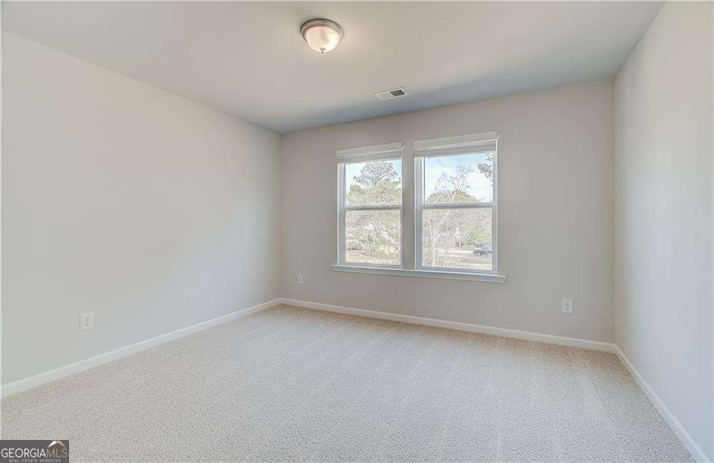 619 Leafy Branch Way Mcdonough - 28