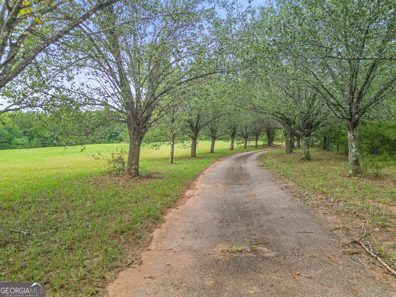 223 Arthur Road Zebulon - 2