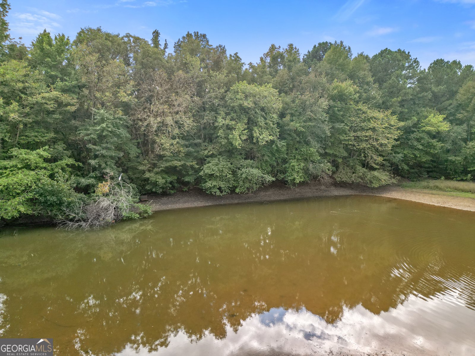 223 Arthur Road Zebulon - 29